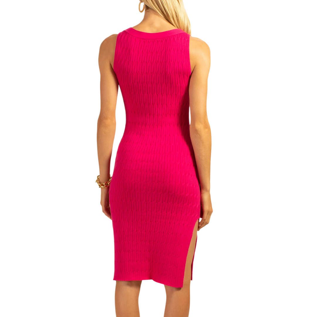 Trina Turk Luxy Dress