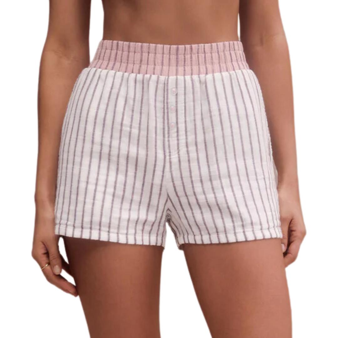 Z Supply Hang Out Stripe Boxer Shorts