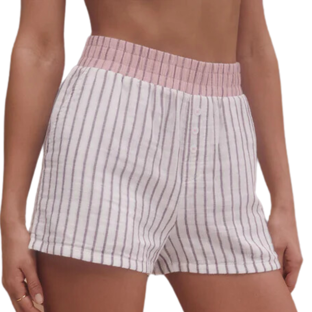 Z Supply Hang Out Stripe Boxer Shorts