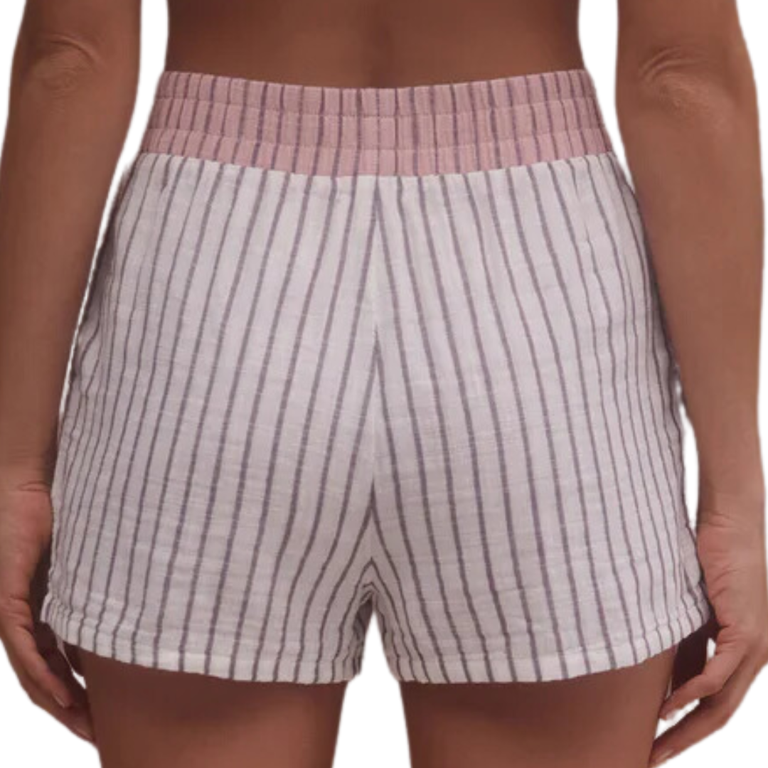 Z Supply Hang Out Stripe Boxer Shorts